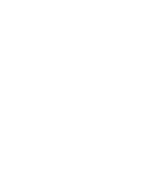 3D Digital Core
